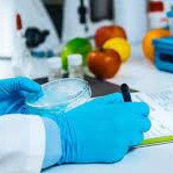 Analyse des Proteines